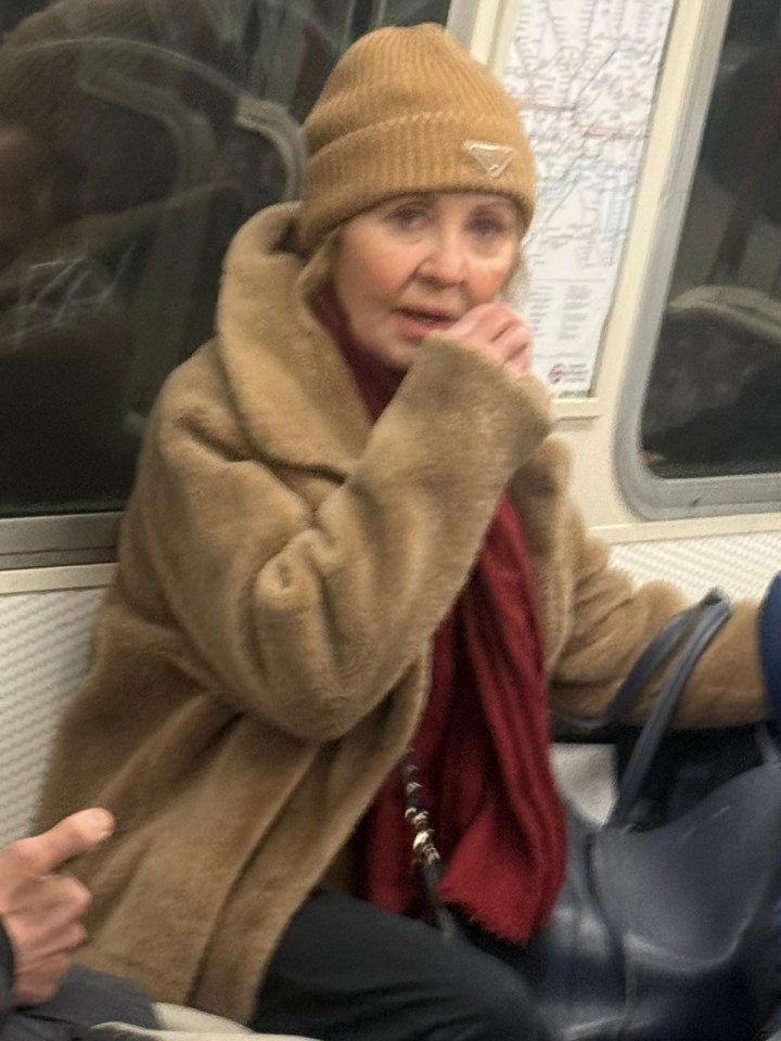 Singer Lulu on a London Underground train.