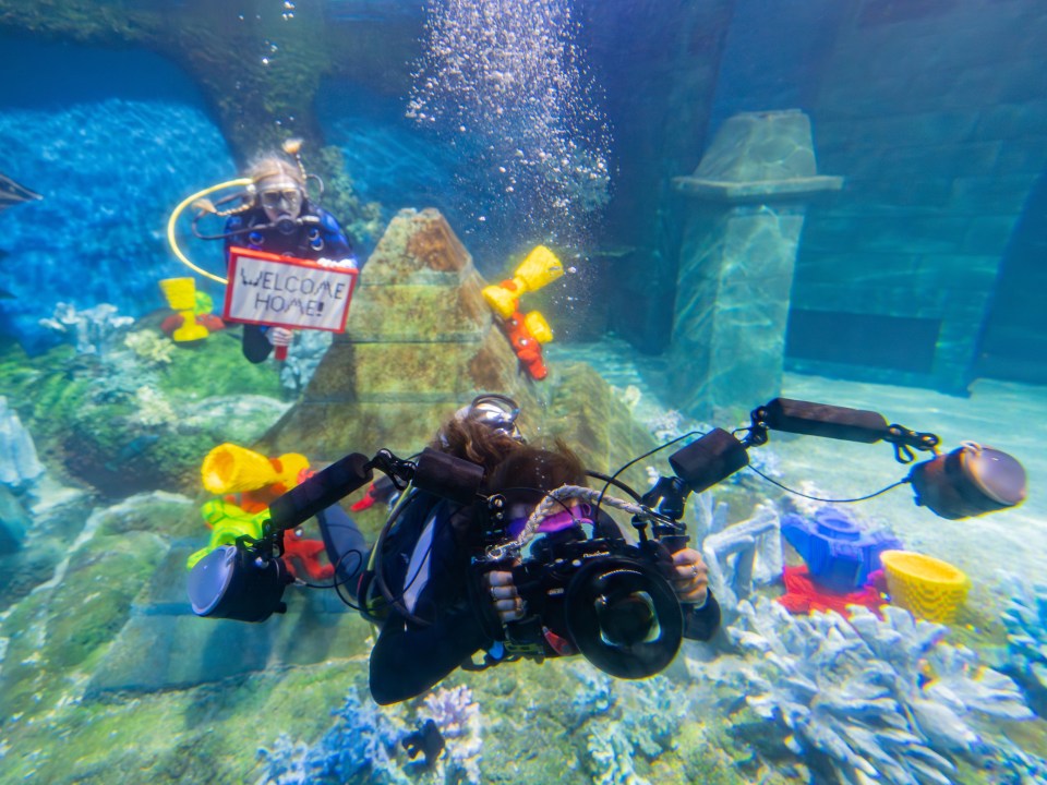 Underwater photographer taking pictures of a new Legoland attraction.