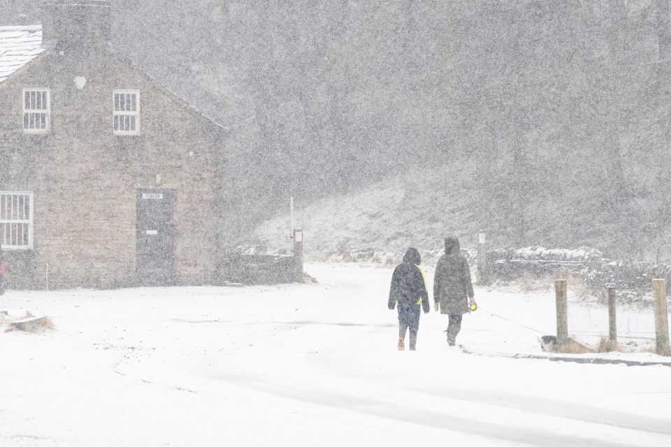 Two people walking a dog in heavy snow.