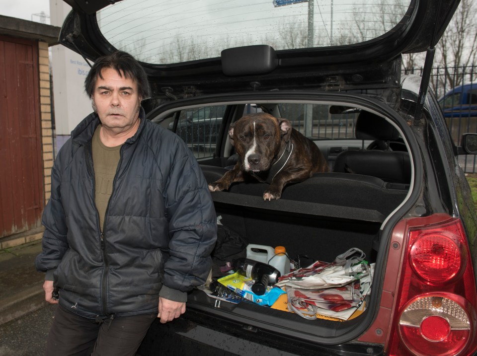 A homeless man and his dog in the back of a car.