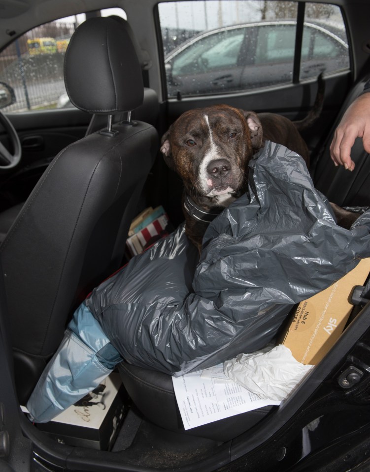 Homeless man with his dog in his car.