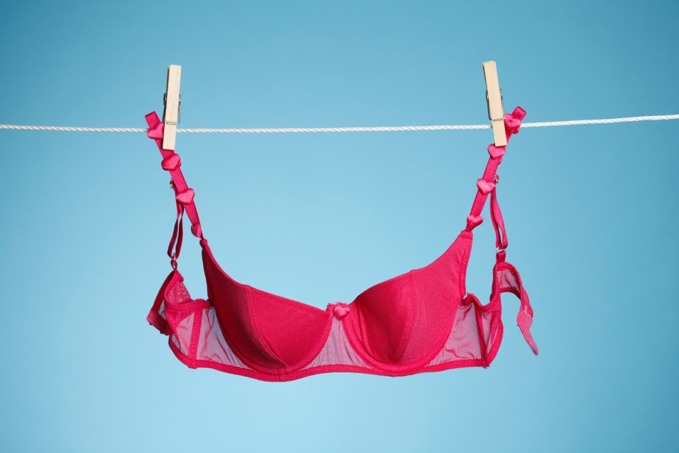 Pink bra hanging on a clothesline.