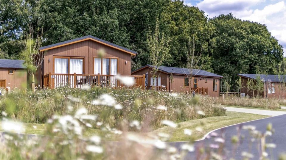 Holiday park cabins nestled in a field of wildflowers.