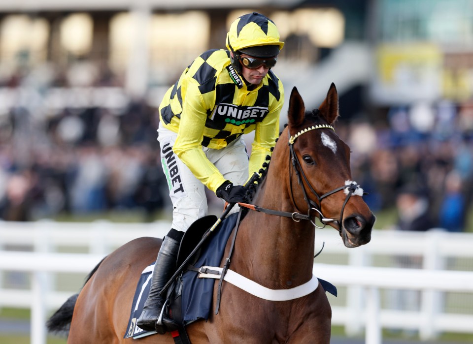 Sir Gino winning a horse race.