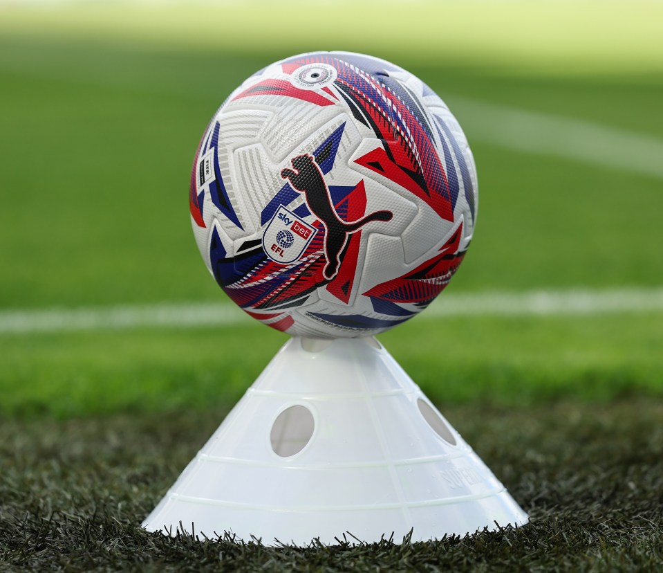 Sky Bet EFL Puma Orbita match ball on a cone.