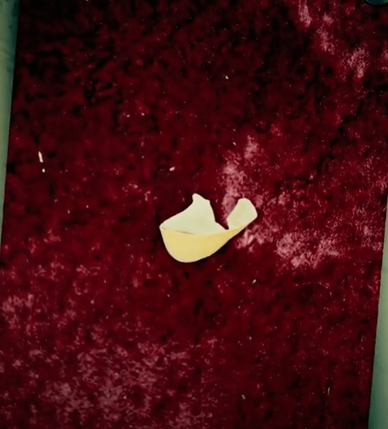 Piece of broken eggshell on a dark red surface.