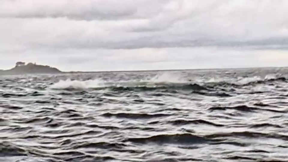 Video still of a whale swallowing and then spitting out a man in the ocean.