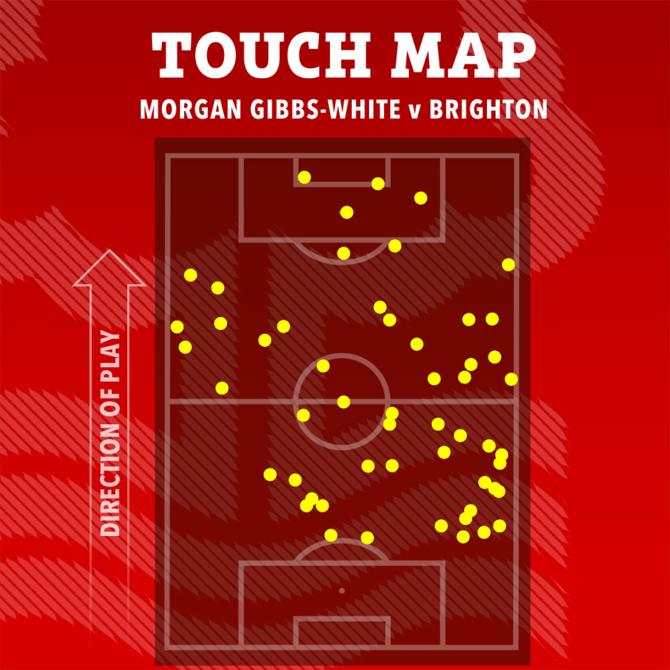 Touch map of Morgan Gibbs-White v Brighton.