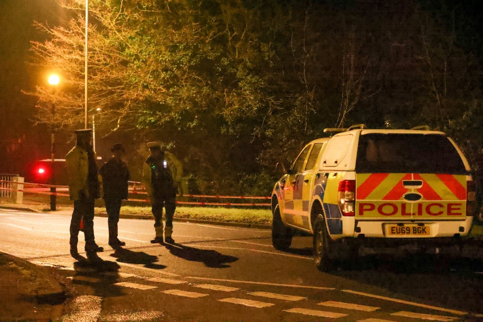 Police officers at a nighttime crime scene.