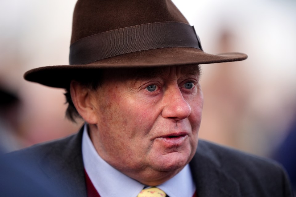 Head-and-shoulders photo of Nicky Henderson at Cheltenham Racecourse.