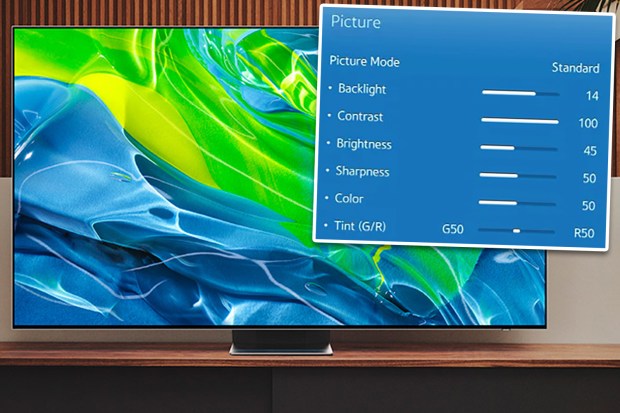 TV displaying picture settings menu.