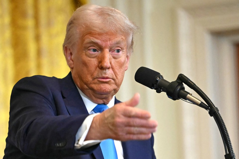 President Trump speaking at a press conference.