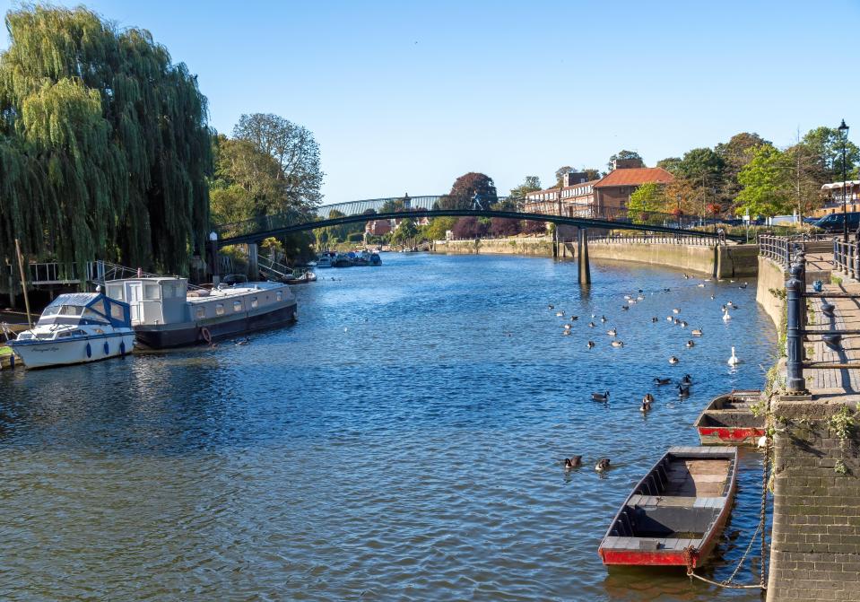 View of the Thames River with a bridge, boats, and birds.