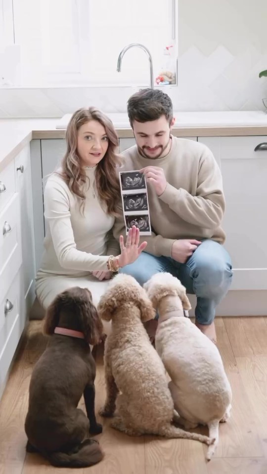 Couple in kitchen looking at ultrasound photo with three dogs.