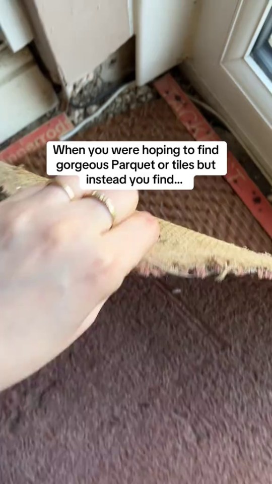 Hand peeling back old carpet to reveal subfloor.