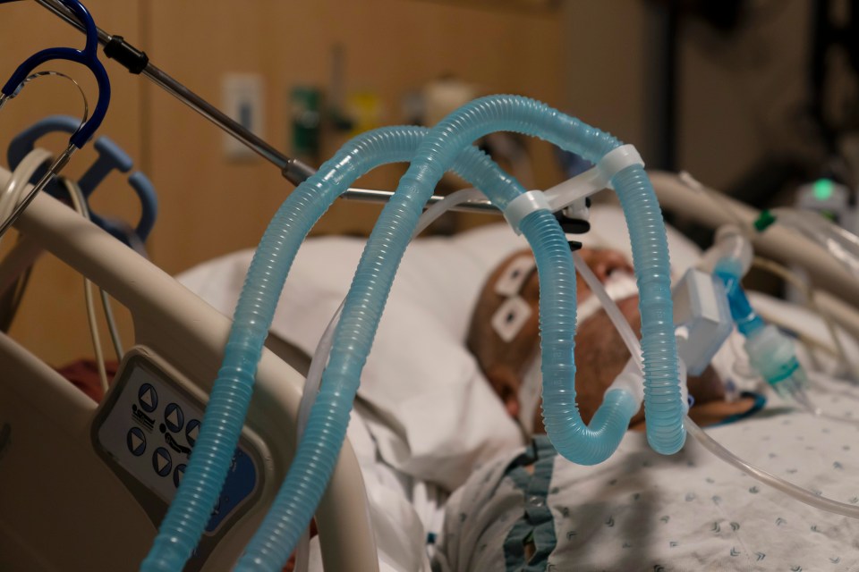 Ventilator tubes connected to a patient in a hospital bed.