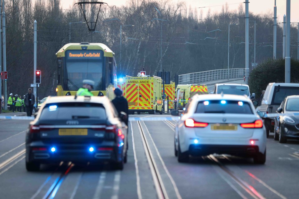 Emergency vehicles at the scene of a fatal accident involving a pedestrian and a dog.