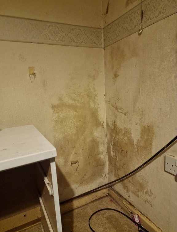 Mold and grime on the walls of a room.