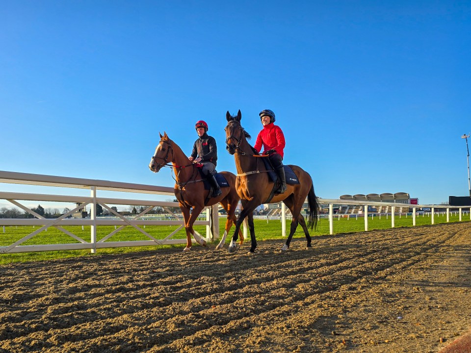 General views of Cheltenham Racecourse on day three of the Cheltenham Festival 2025. Pictured: gv,general view Ref: BLU_S8214811 130325 NON-EXCLUSIVE Picture by: / SplashNews.com Splash News and Pictures USA: 310-525-5808 UK: 020 8126 1009 eamteam@shutterstock.com World Rights