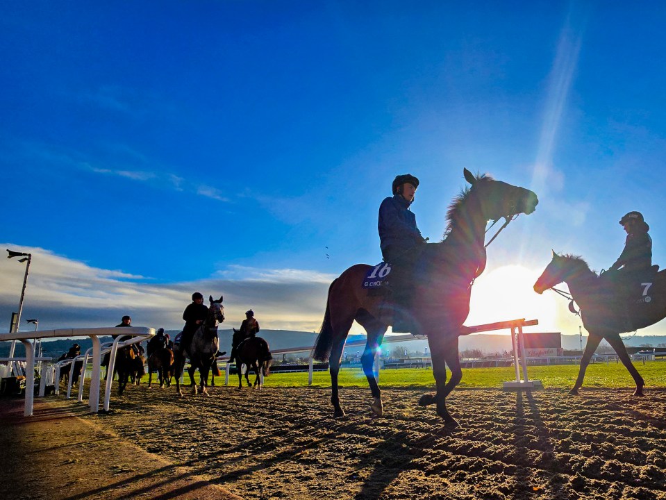 General views of Cheltenham Racecourse on day three of the Cheltenham Festival 2025. Pictured: gv,general view Ref: BLU_S8214811 130325 NON-EXCLUSIVE Picture by: / SplashNews.com Splash News and Pictures USA: 310-525-5808 UK: 020 8126 1009 eamteam@shutterstock.com World Rights