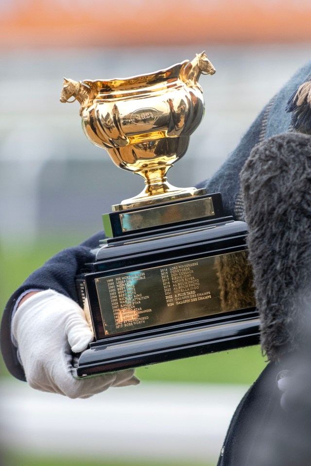 General views and celebrity arrivals on Gold Cup Friday of the Cheltenham Festival 2025. Pictured: gv,general view Ref: BLU_S8217987 140325 NON-EXCLUSIVE Picture by: / SplashNews.com Splash News and Pictures USA: 310-525-5808 UK: 020 8126 1009 eamteam@shutterstock.com World Rights