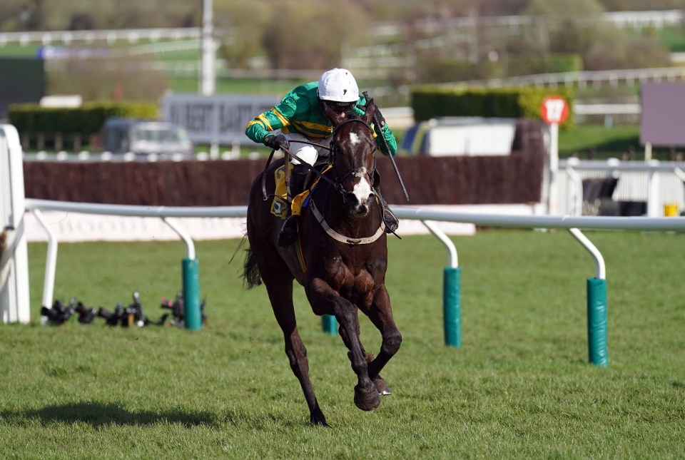 Majborough ridden by Mark Walsh on their way to winning the JCB Triumph Hurdle on day four of the 2024 Cheltenham Festival at Cheltenham Racecourse. Picture date: Friday March 15, 2024.