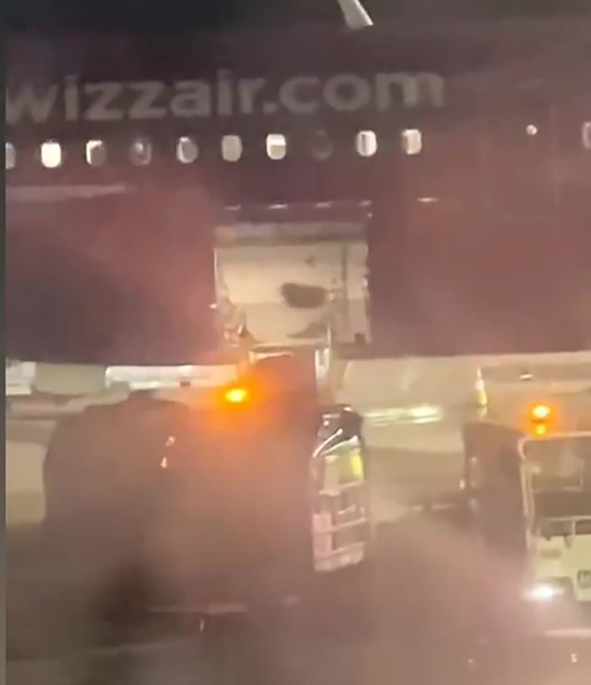 Screengrab of baggage handlers roughly unloading luggage from a Wizz Air plane.