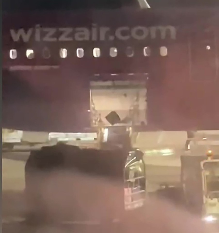 Screengrab of baggage handlers roughly unloading luggage from a Wizz Air plane.