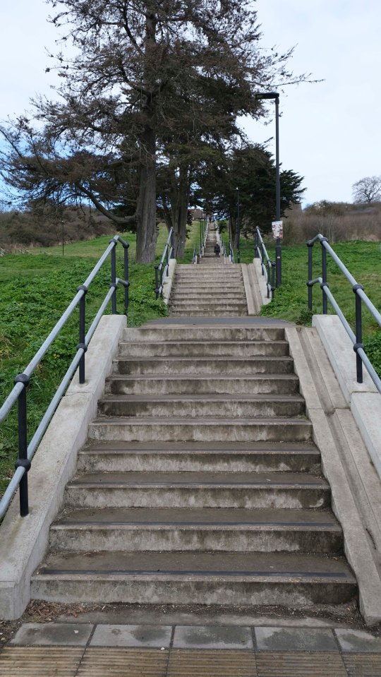 Long staircase with railings leading to the top of a hill.