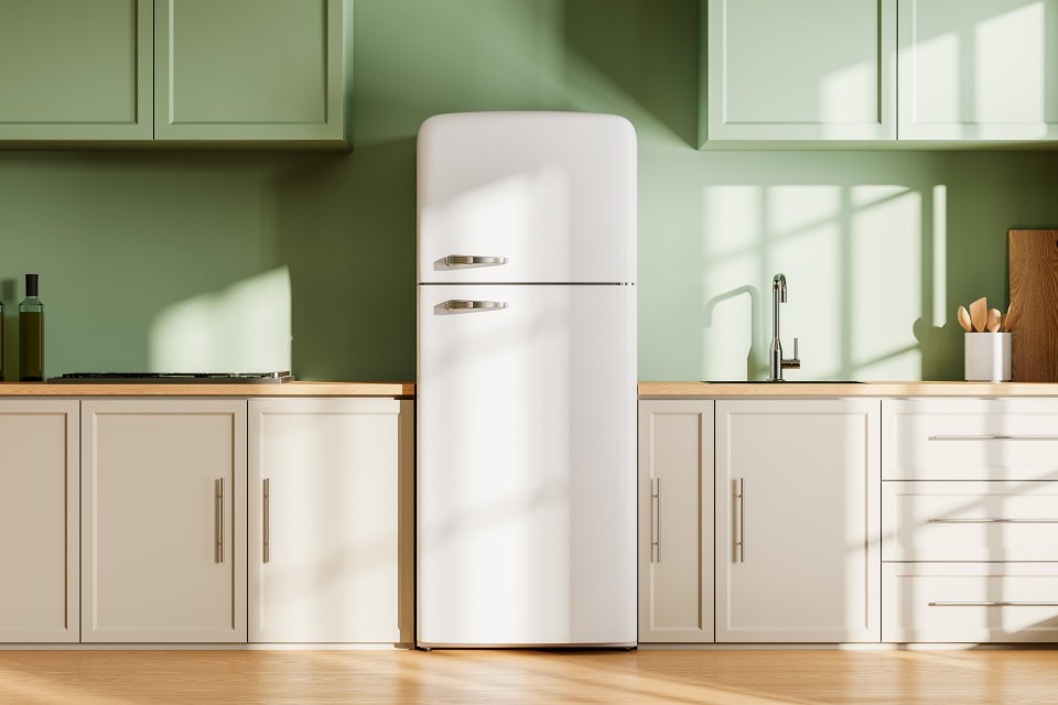 Illustration of a modern kitchen with green cabinets and a white refrigerator.