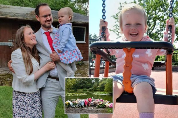 An image collage containing 3 images, Image 1 shows Family portrait: a man in a suit holds a baby girl, while a woman stands beside him, smiling, Image 2 shows Toddler on a swing at a playground, Image 3 shows Floral tributes at a pond