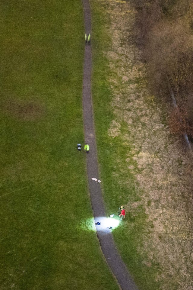 Aerial view of a crime scene investigation in a park.