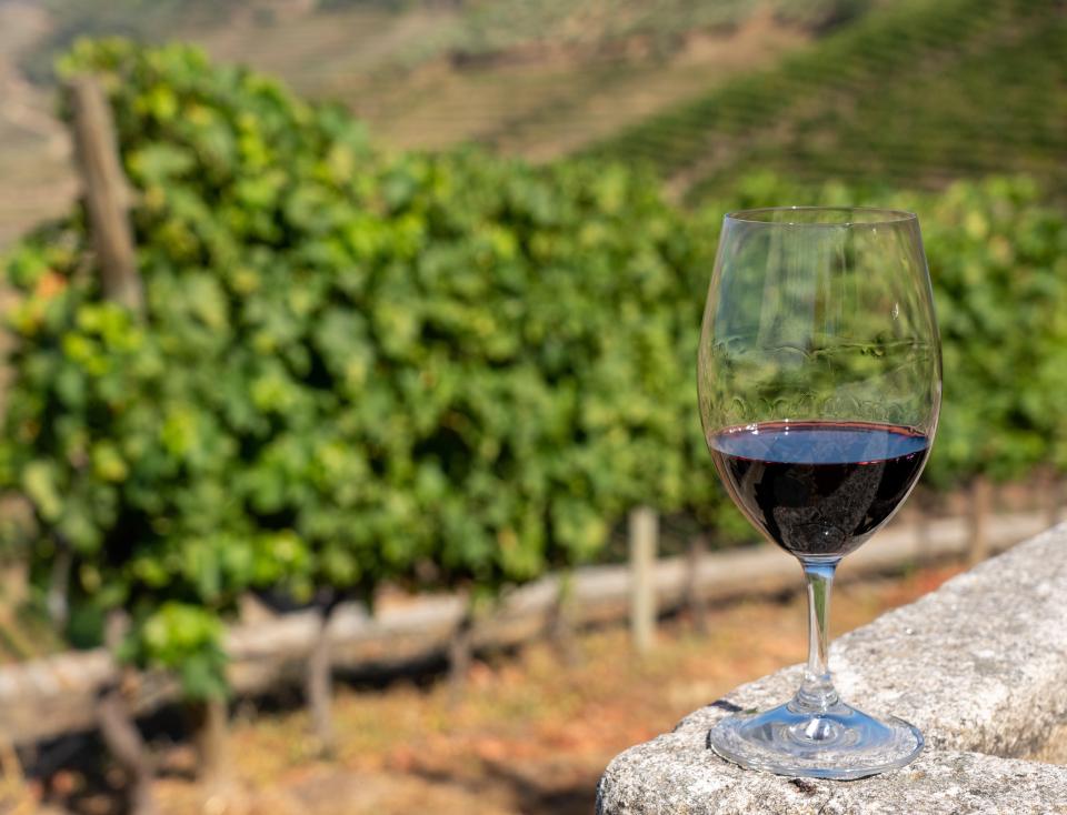 Glass of red wine in a vineyard.