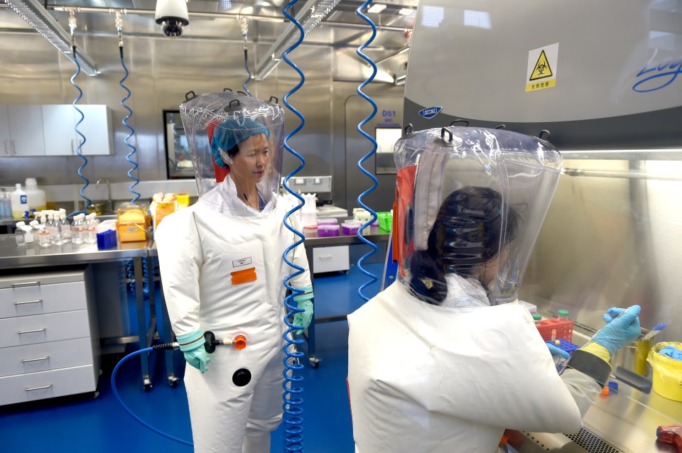 Researchers in protective suits working in a Wuhan Institute of Virology lab.